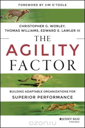 Скачать книгу "The Agility Factor: Building Adaptable Organizations for Superior Performance"