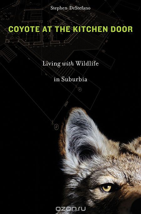Скачать книгу "Coyote at the Kitchen Door – Living with Wildlife in Suburbia"