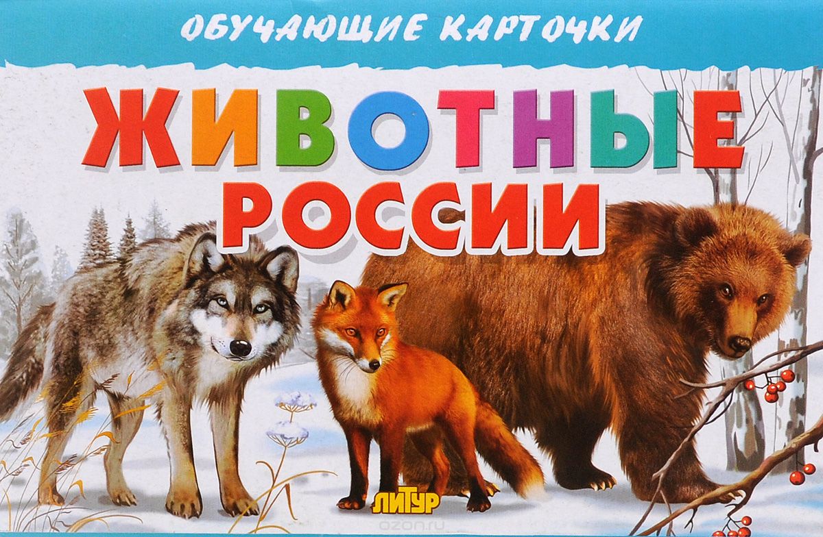 Скачать книгу "Животные России (набор из 16 карточек)"