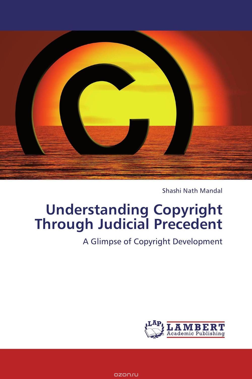 Understanding Copyright Through Judicial Precedent