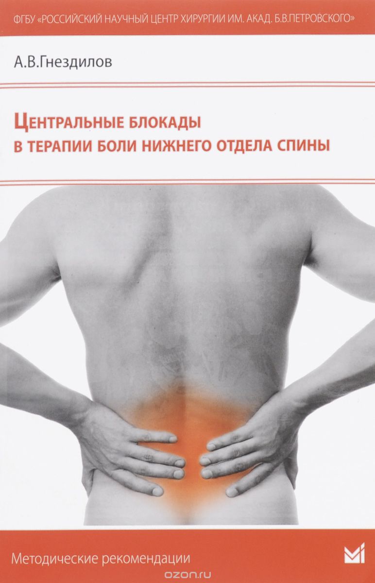 Скачать книгу "Центральные блокады в терапии боли нижнего отдела спины, А. В. Гнездилов"