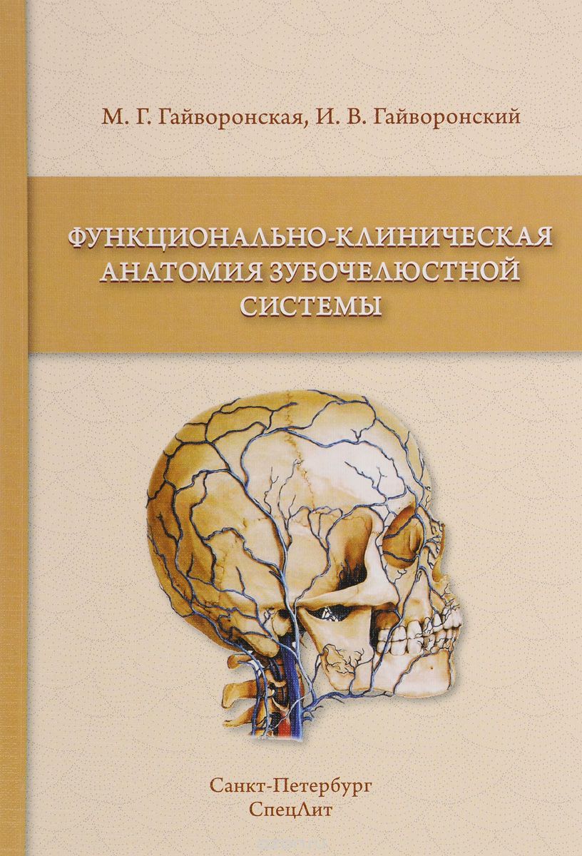 Функционально-клиническая анатомия зубочелюстной системы, М. Г. Гайворонская, И. В. Гайворонский