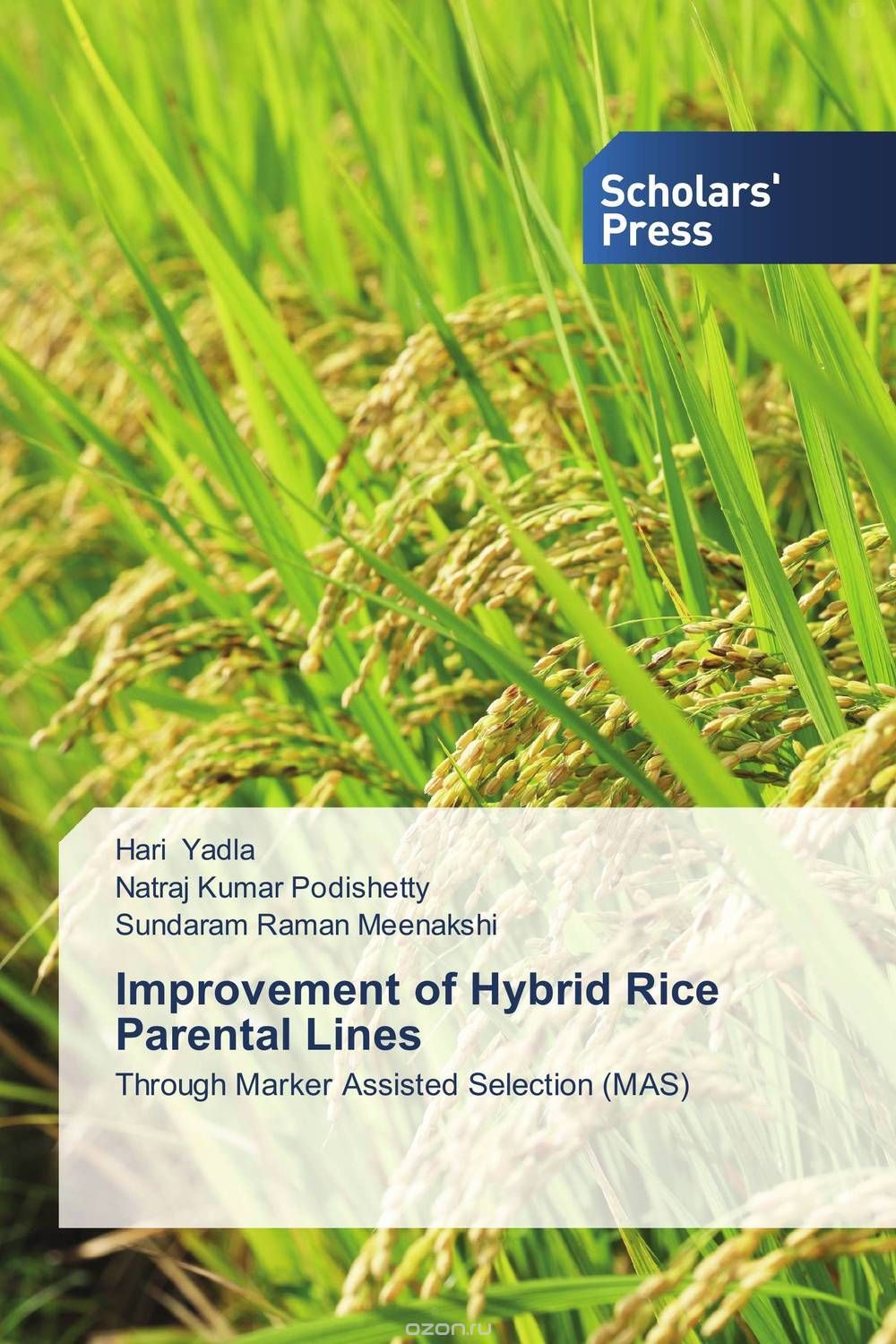 Скачать книгу "Improvement of Hybrid Rice Parental Lines"