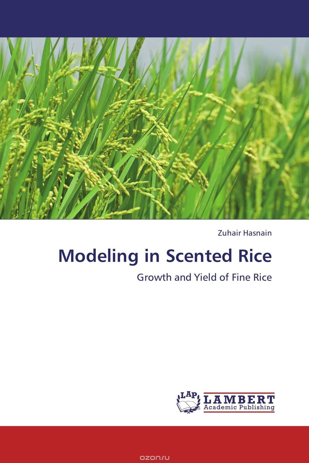 Modeling in Scented Rice