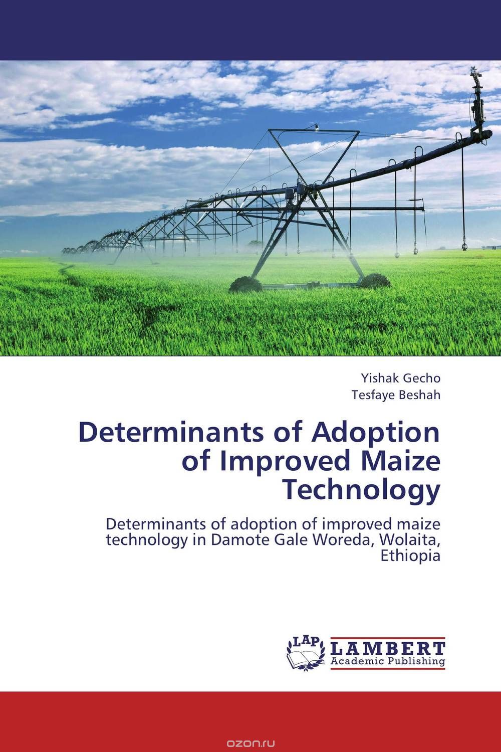 Скачать книгу "Determinants of Adoption of Improved Maize Technology"