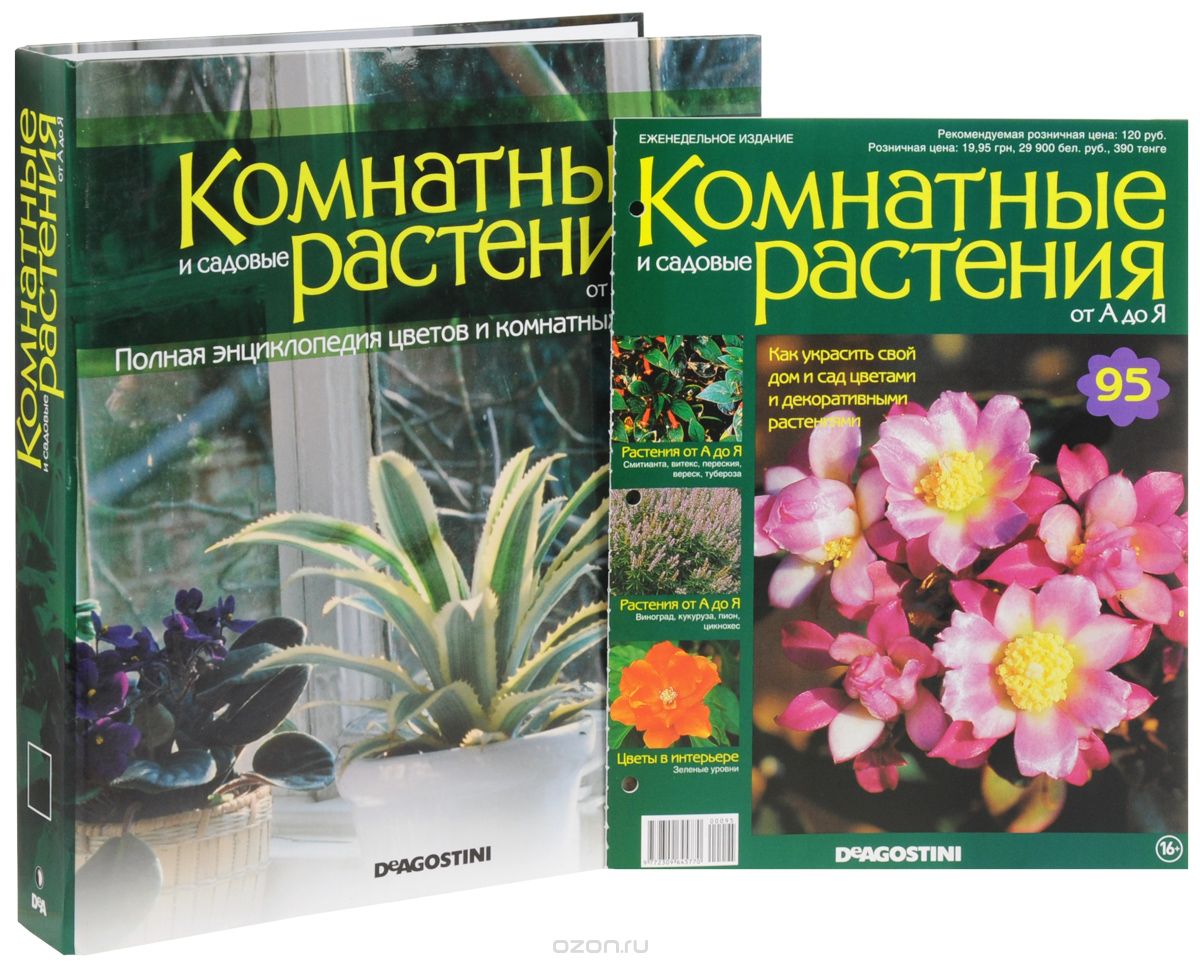 Журнал "Комнатные и садовые растения. От А до Я" №95