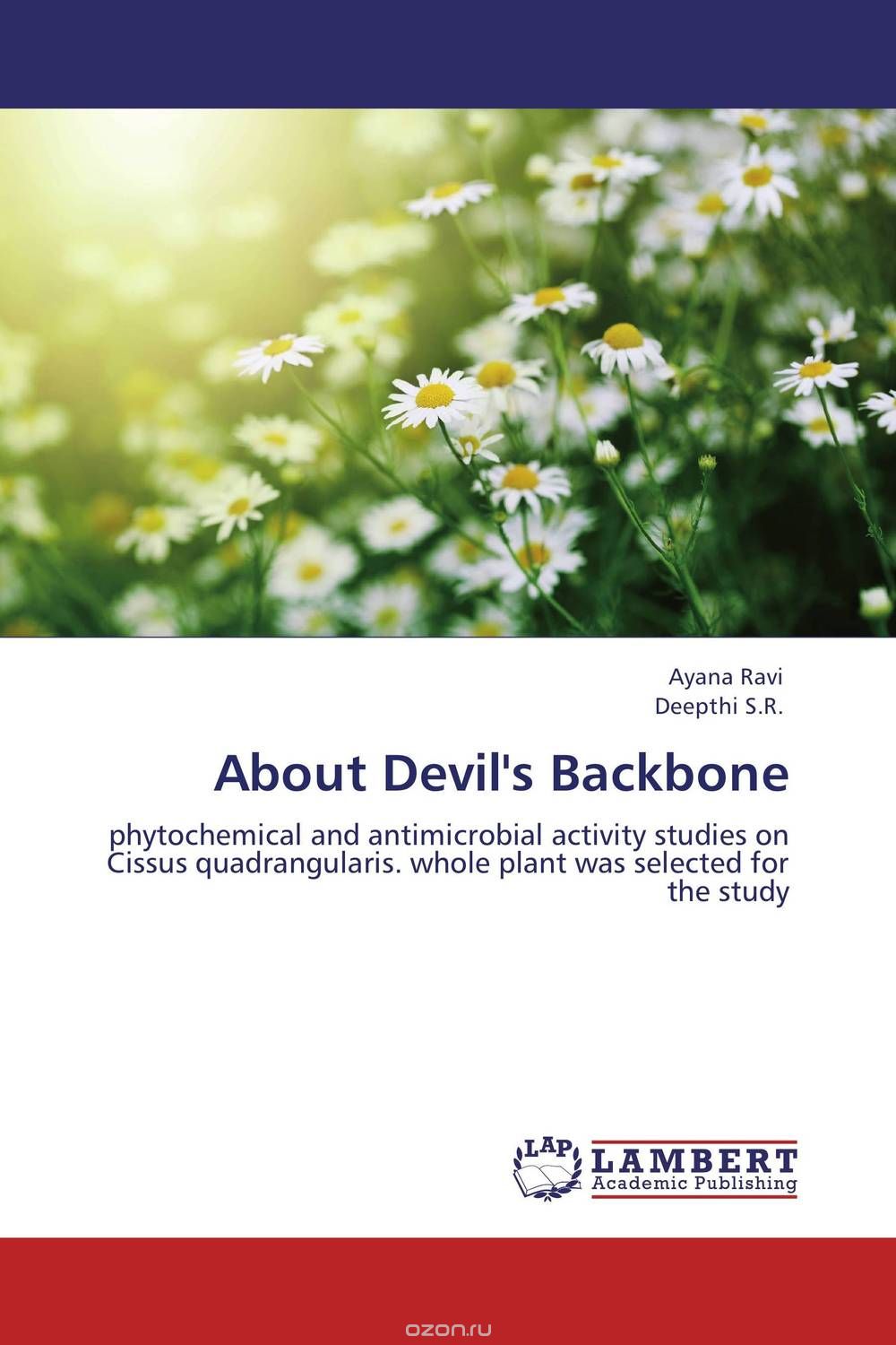 About Devil's Backbone