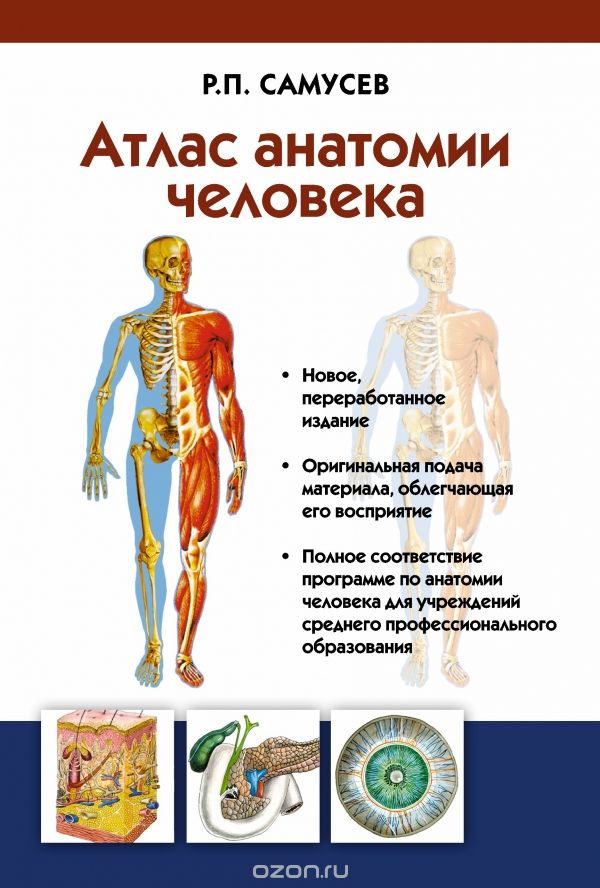 Скачать книгу "Атлас анатомии человека. Учебное пособие, Самусев Р.П."