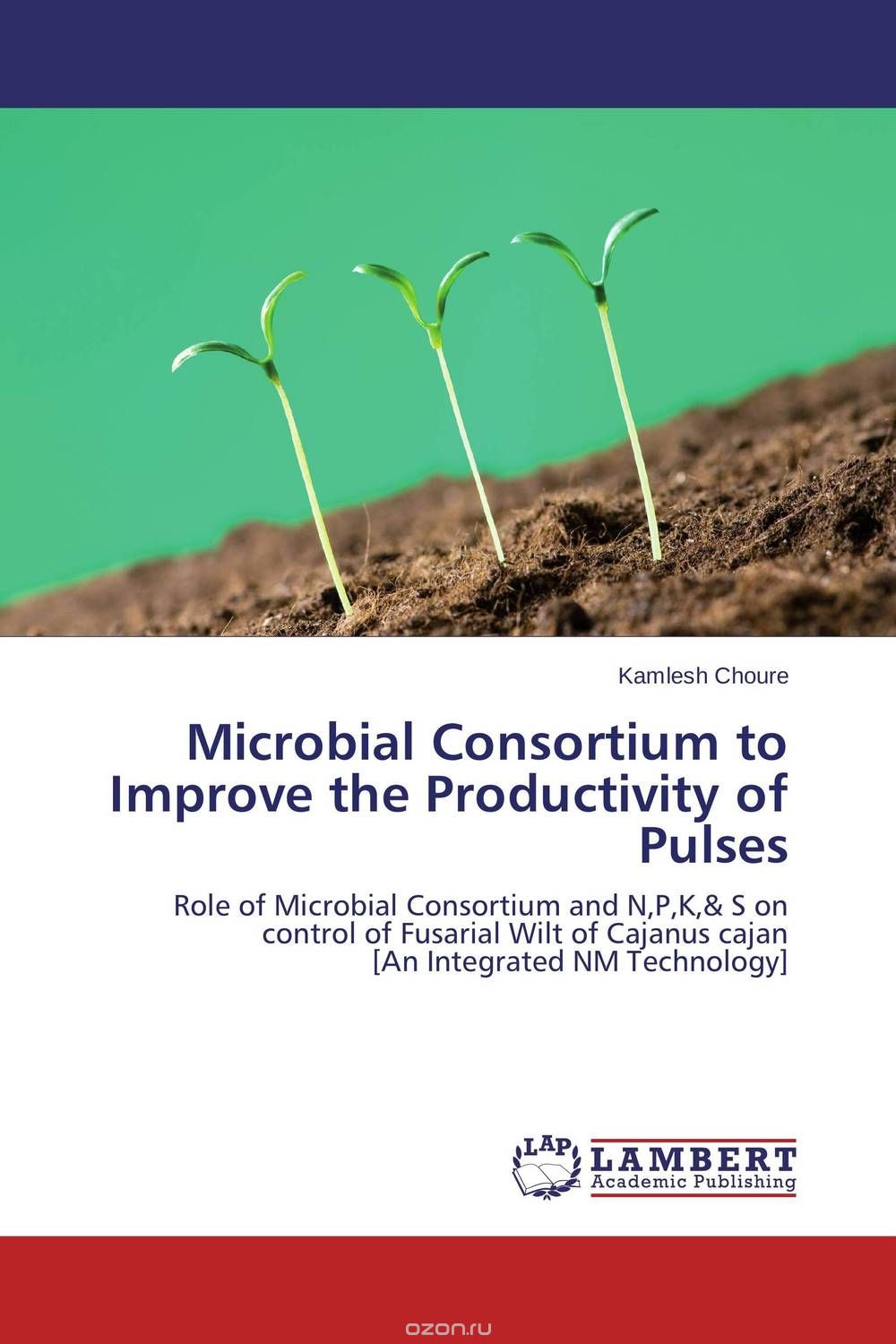 Microbial Consortium to Improve the Productivity of Pulses