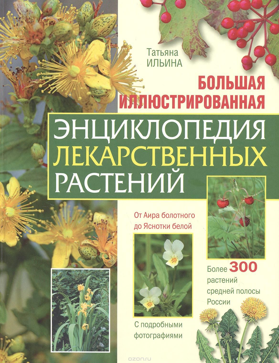 Большая иллюстрированная энциклопедия лекарственных растений, Т. А. Ильина