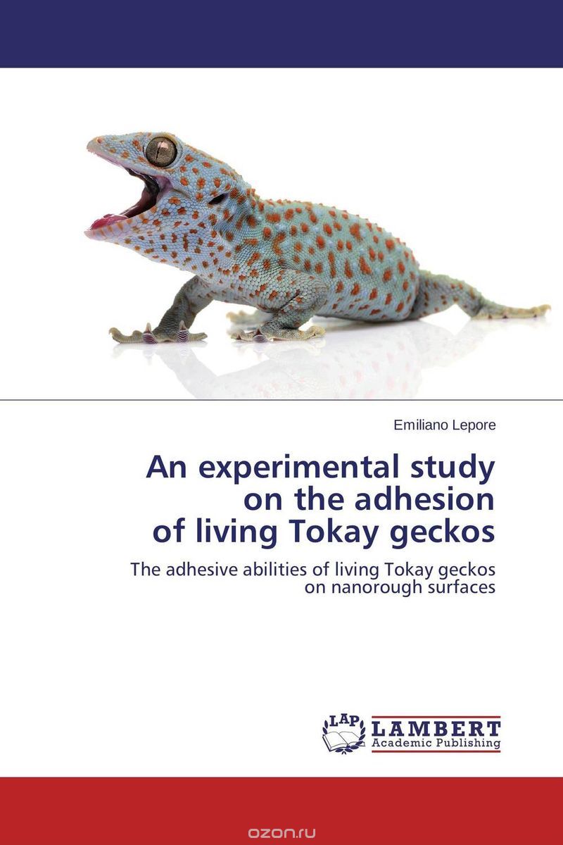 An experimental study  on the adhesion  of living Tokay geckos