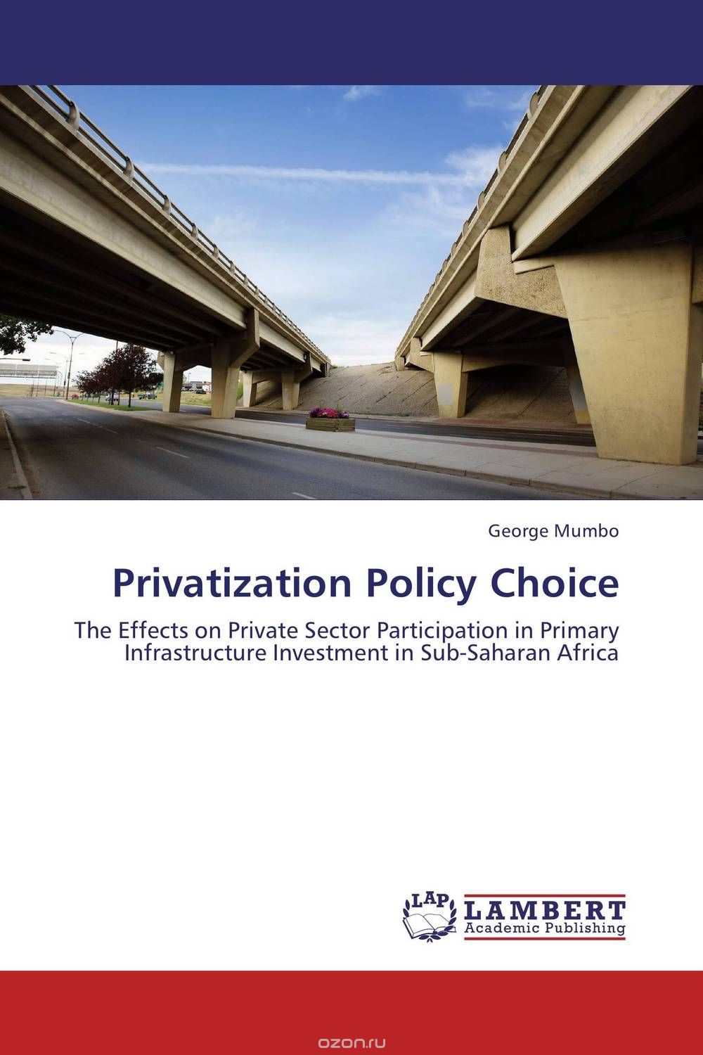 Privatization Policy Choice
