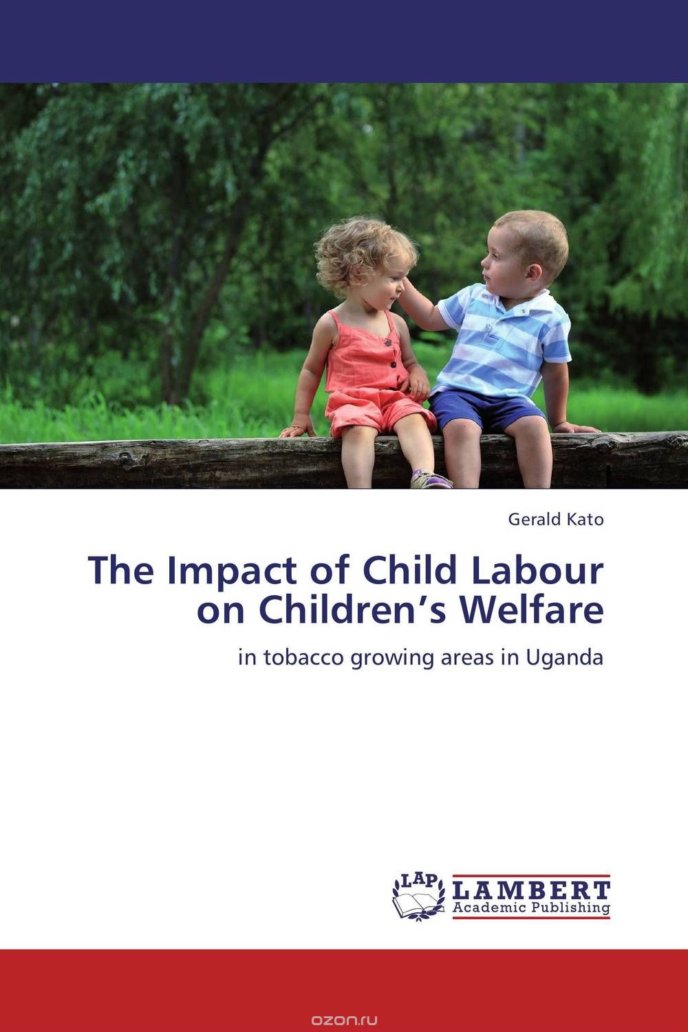 The Impact of Child Labour on Children’s Welfare