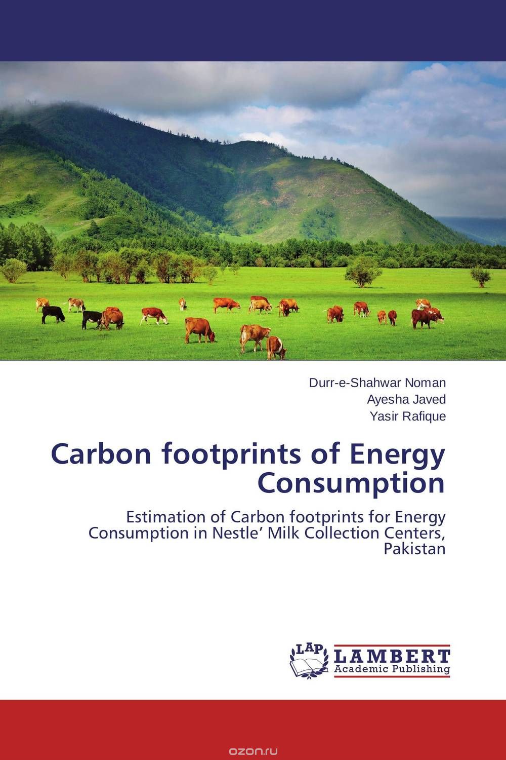 Carbon footprints of Energy Consumption