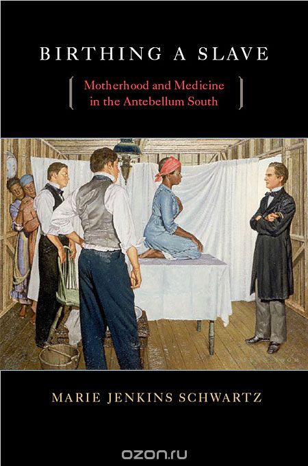 Birthing a Slave – Motherhood and Medicine in the Antebellum South
