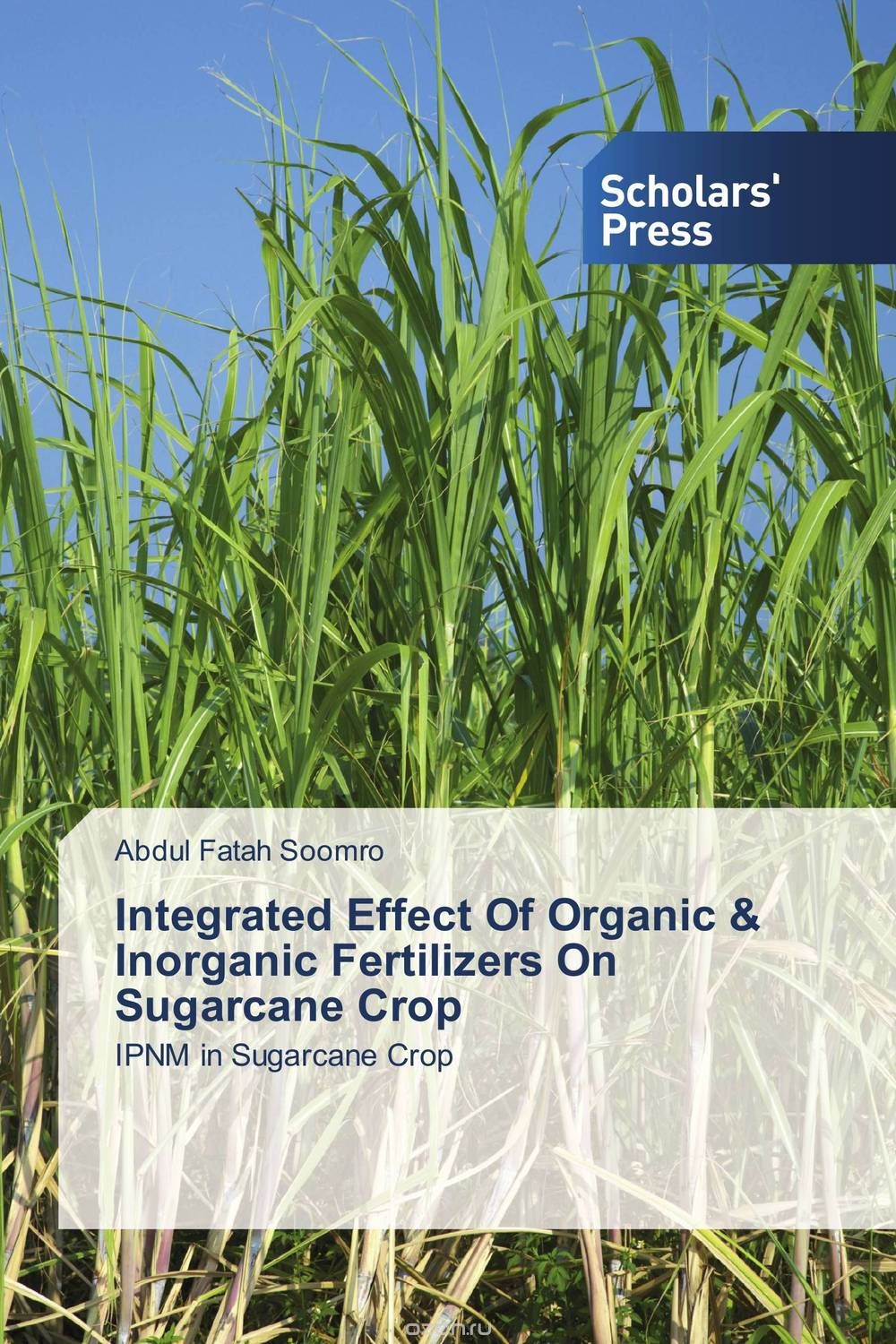 Скачать книгу "Integrated Effect Of Organic & Inorganic Fertilizers On Sugarcane Crop"